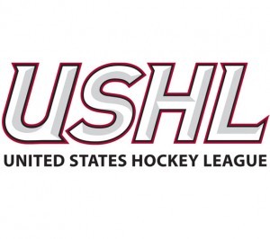 USHL-Logo-300x266.jpg